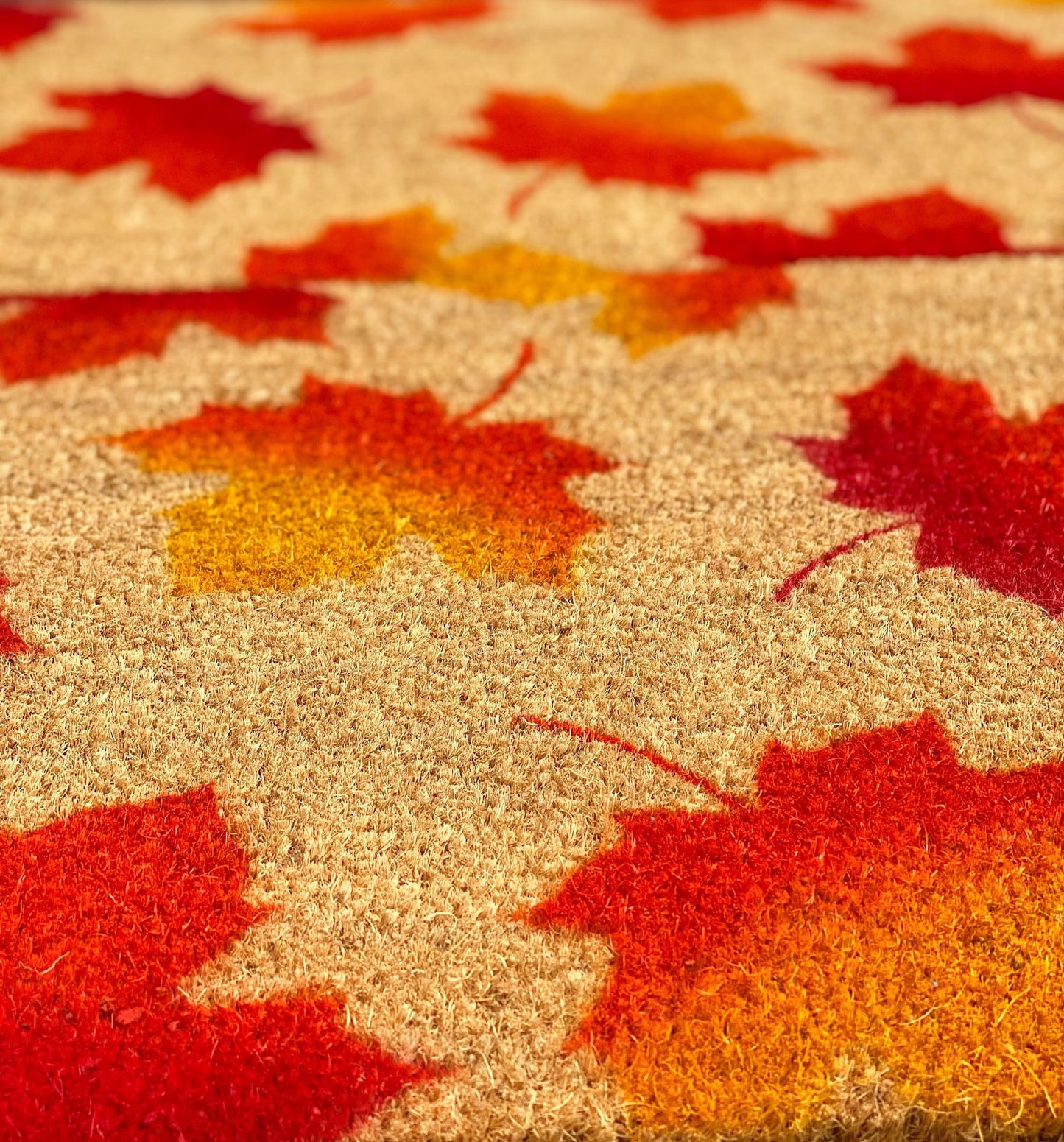 Fall Leaves