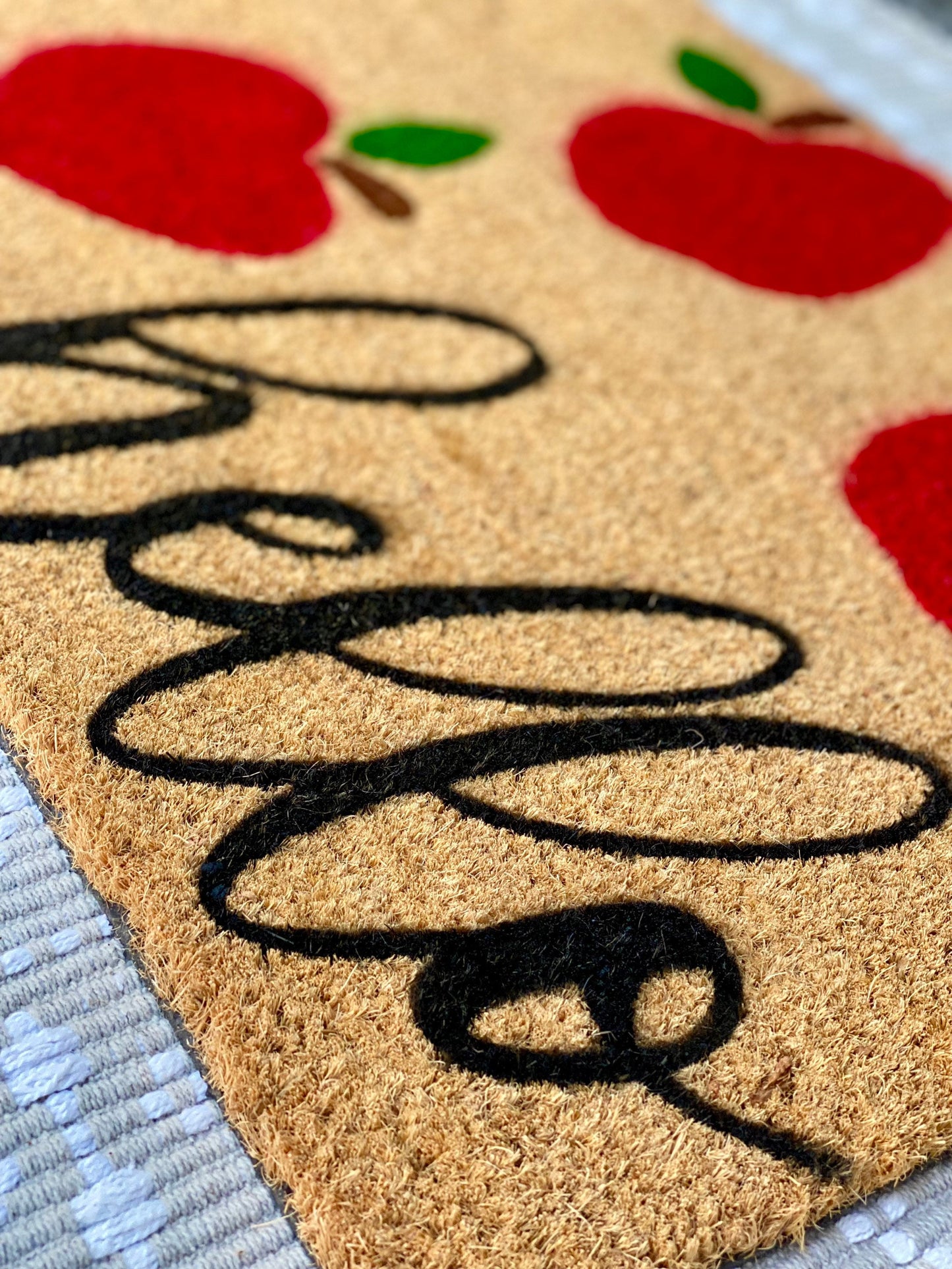 Classroom Doormat | Apple Doormat | Classroom Welcome Mat | Teacher Appreciation Gift | Teacher Doormat | Classroom Decor