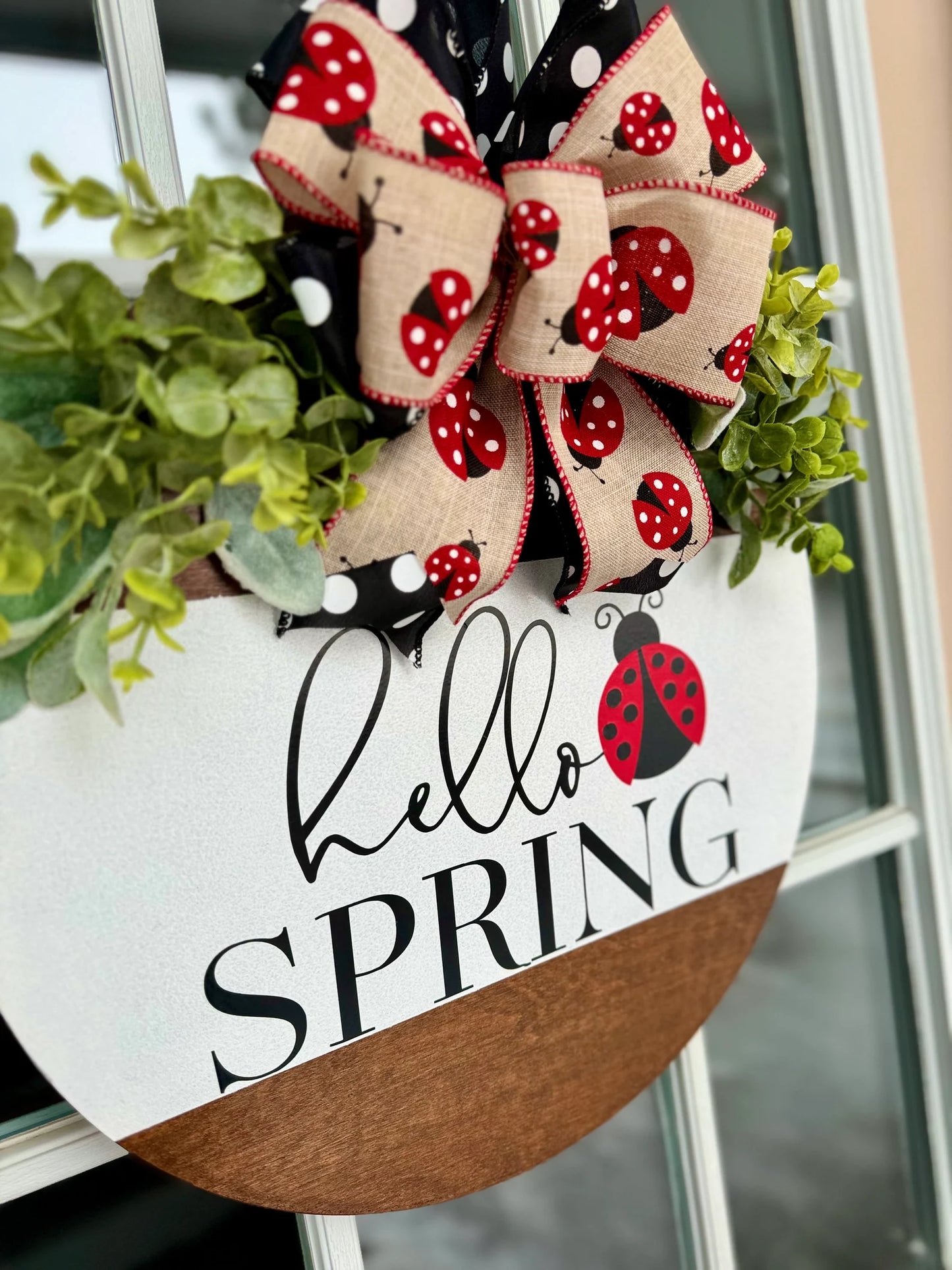 Hello Spring Ladybug Door Hanger