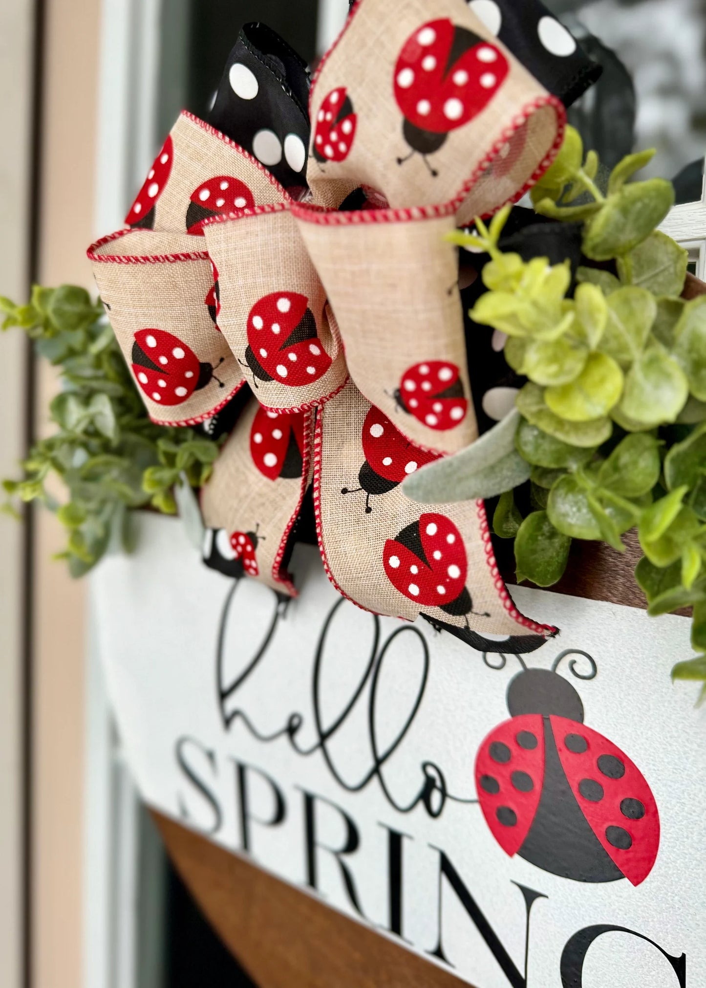 Hello Spring Ladybug Door Hanger