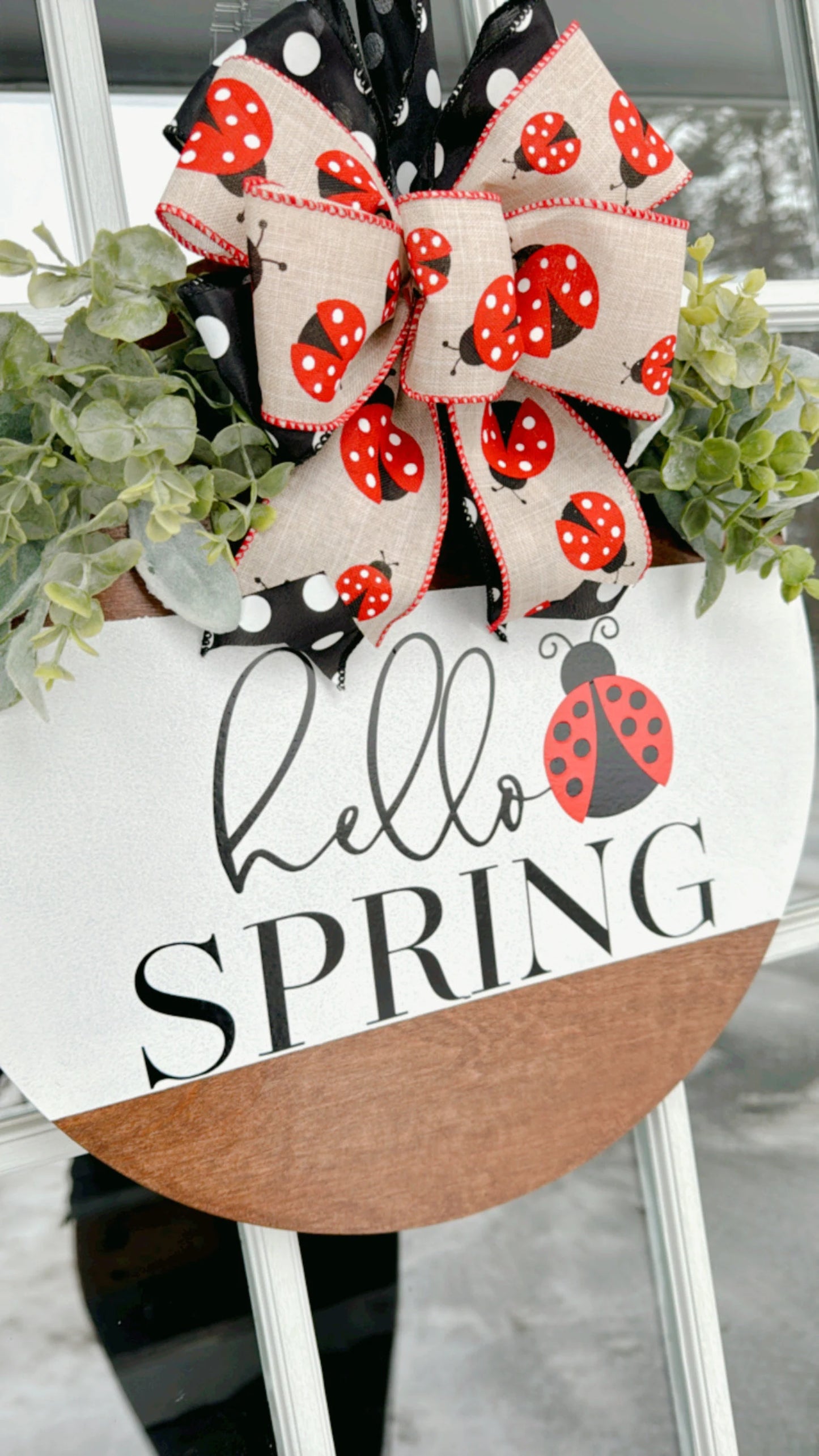 Hello Spring Ladybug Door Hanger