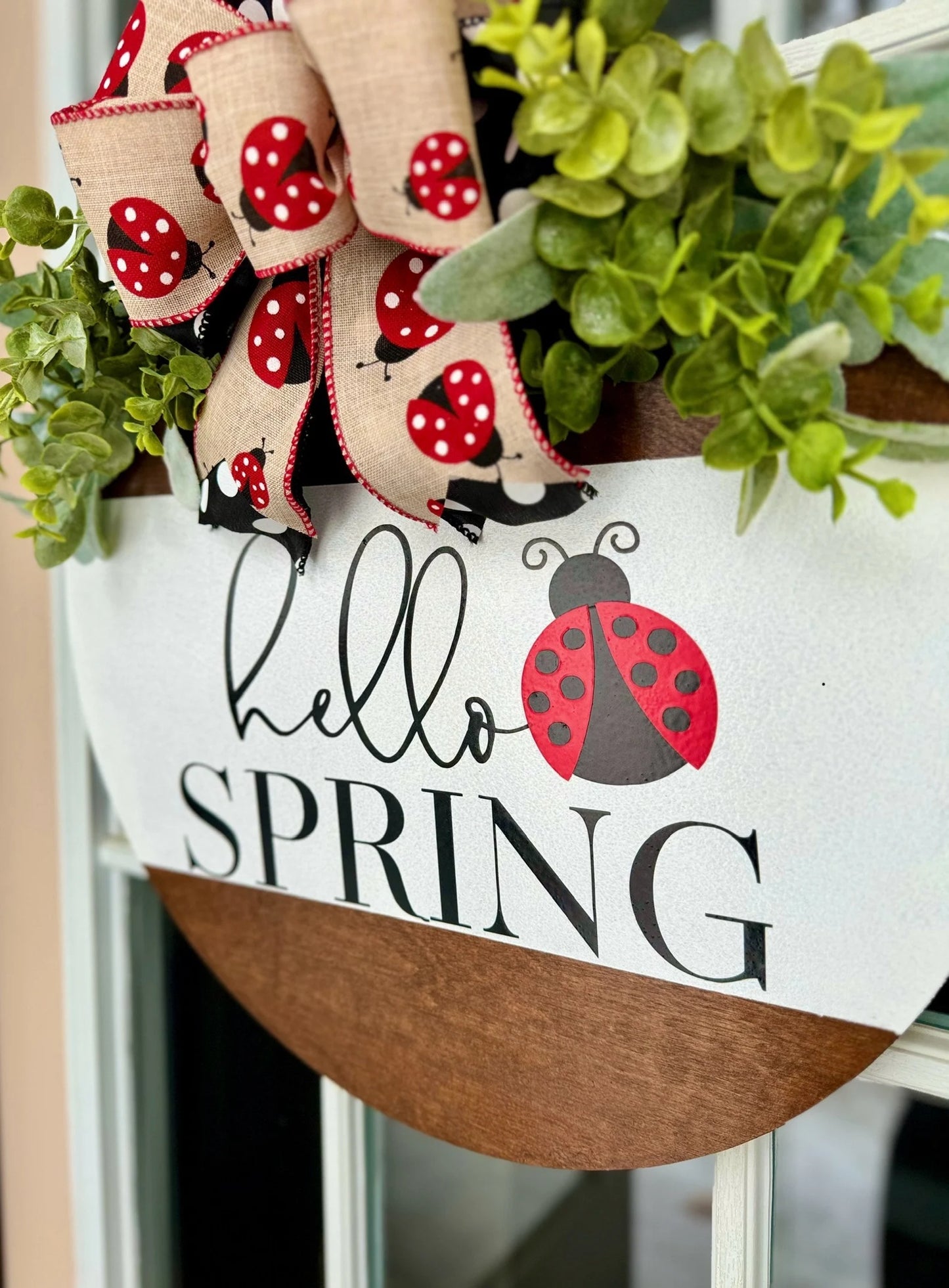 Hello Spring Ladybug Door Hanger