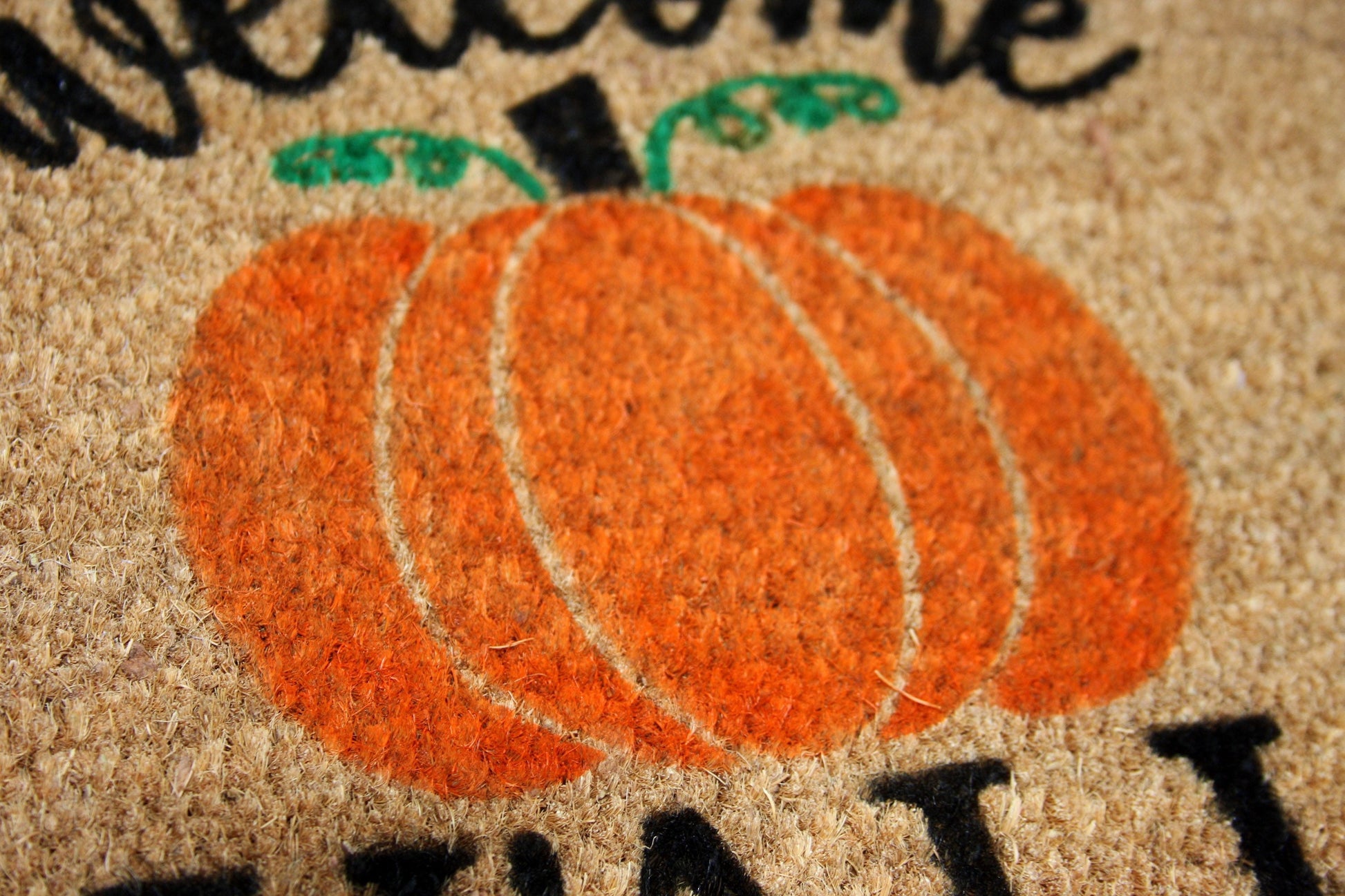 Juvale Thanksgiving Welcome Mat for Front Door, Outdoor Fall Rug for Porch, Give Thanks, 30x17 in