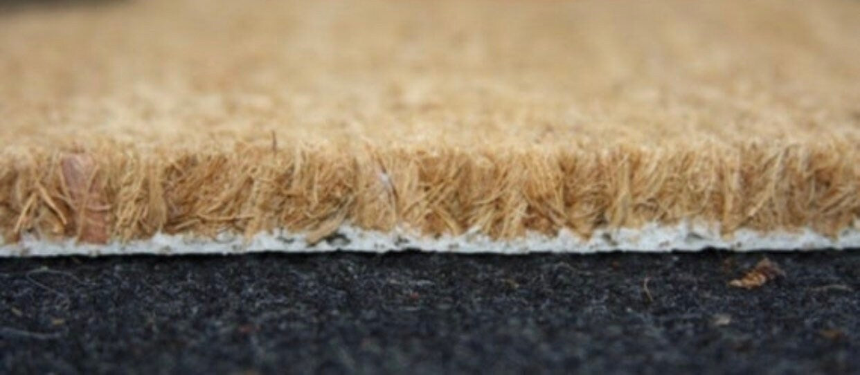 NOLA  Doormat | Mardi Gras Doormat | Mardi Gras Decor | New Orleans Doormat | Housewarming Gift | Outdoor Rug